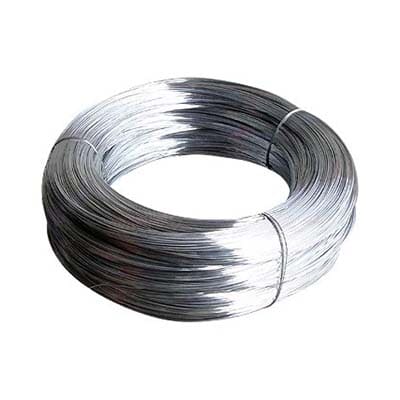 Stainless Steel Bare Electrodes
